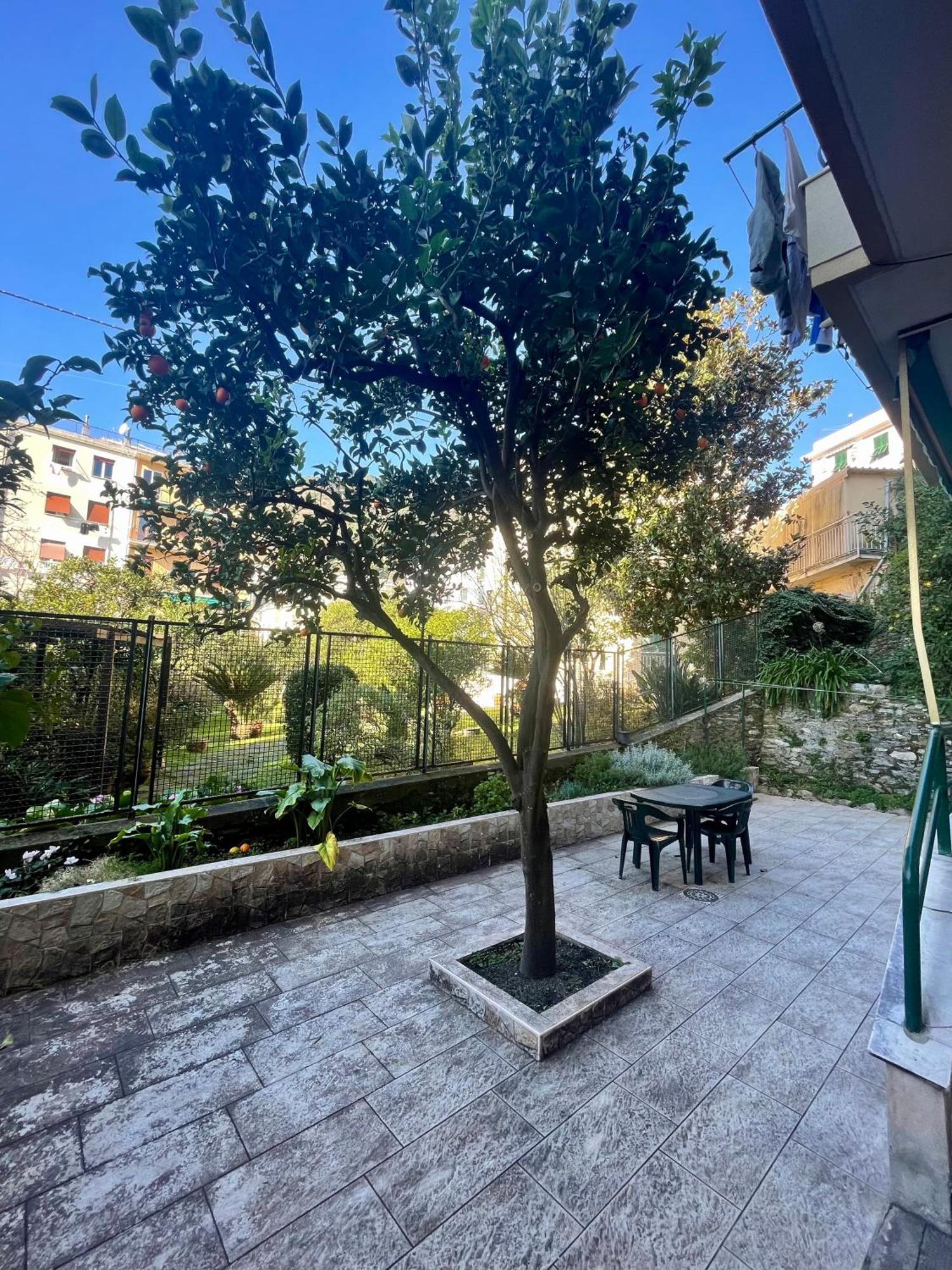 Casa Di Aldo: Una Casa Nel Centro Di Nervi. Genoa Exterior photo